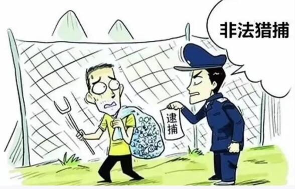 北京房产继承律师|喜爱异宠无可厚非， 买卖、饲养野生保护动物切不可为